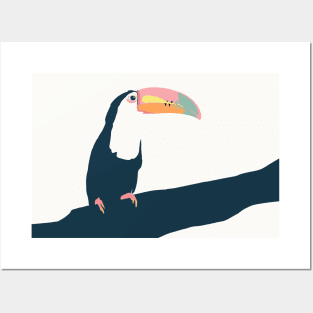 Tropical Toucan Posters and Art